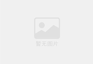 巴马混凝土拆除公司的电话号码是多少？
